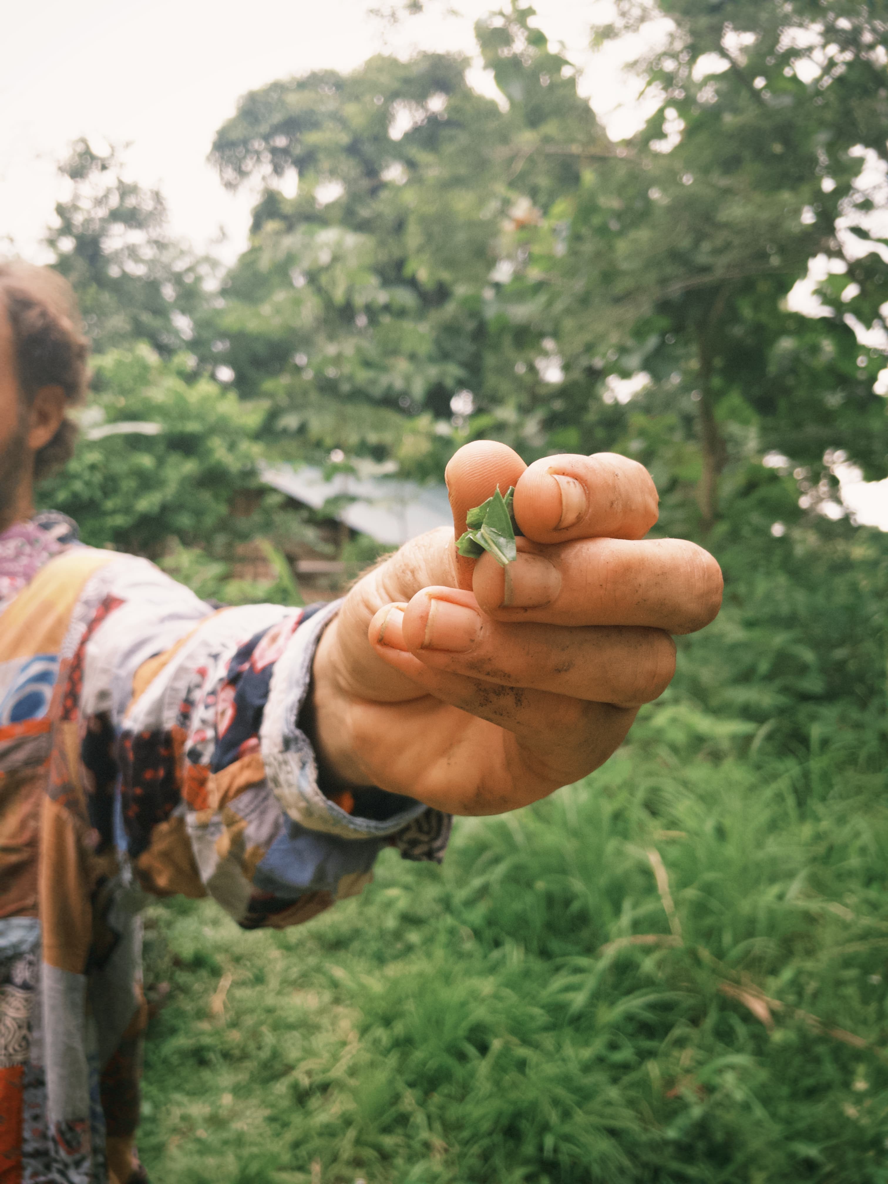 A hand tending the Jardín Lulú garden